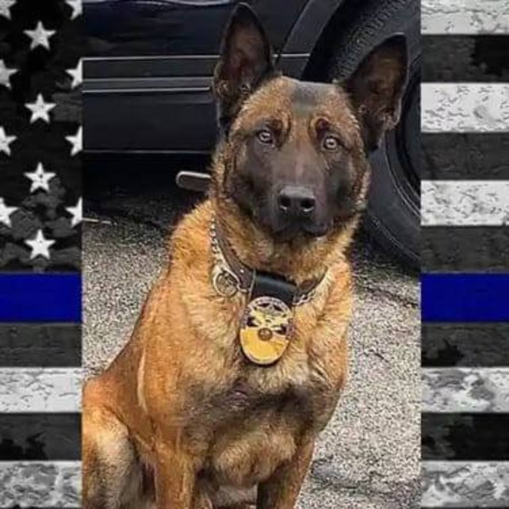 Meet your Posher, Kathryn